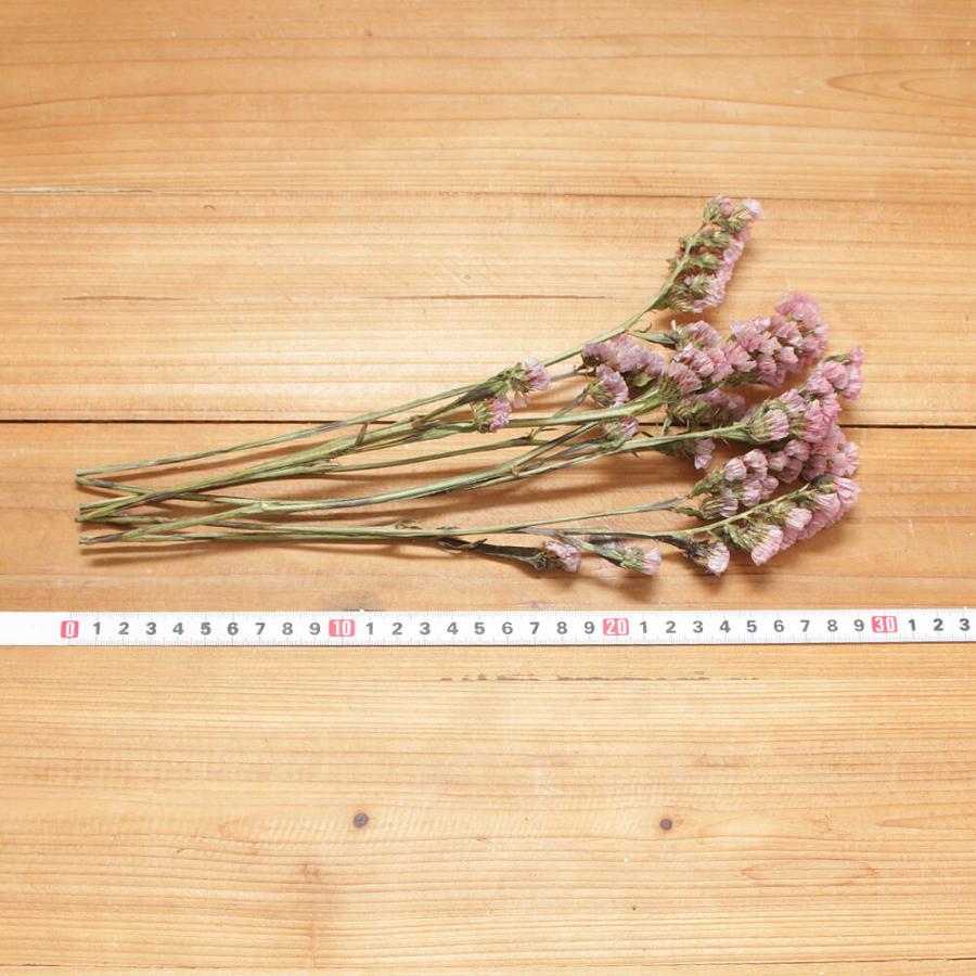 ドライフラワー 花材 即日出荷 スターチス スワッグ 材料 パーツ