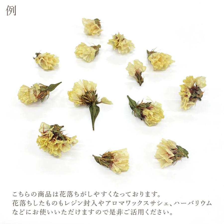 ドライフラワー 花材 即日出荷 スターチス スワッグ 材料 パーツ