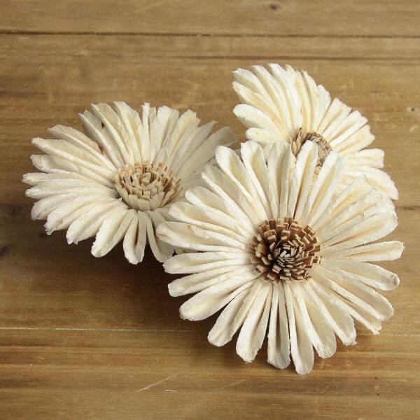 レビュー高評価の商品 ハンドメイドフラワー 即日出荷 Daisen ソラ ヒマワリ L W 白 ドライ 自然素材 ドライフラワー プリ 花 Wantannas Go Id