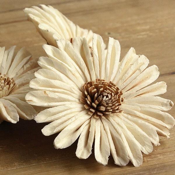 レビュー高評価の商品 ハンドメイドフラワー 即日出荷 Daisen ソラ ヒマワリ L W 白 ドライ 自然素材 ドライフラワー プリ 花 Wantannas Go Id