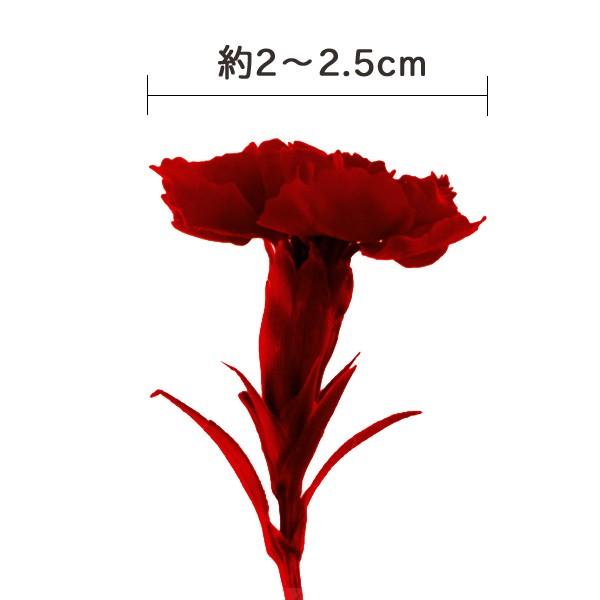 花材　マイクロカーネーション　8種類 花材 マイクロカーネーション 8種類 カーネ20輪【マイクロ