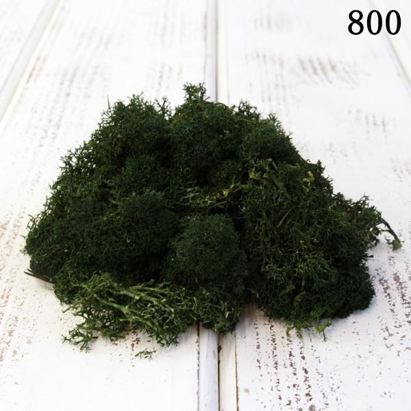 琉球*ルミカモス☆ 蓄光 フィンランドモス プリザーブド花材 0331-2