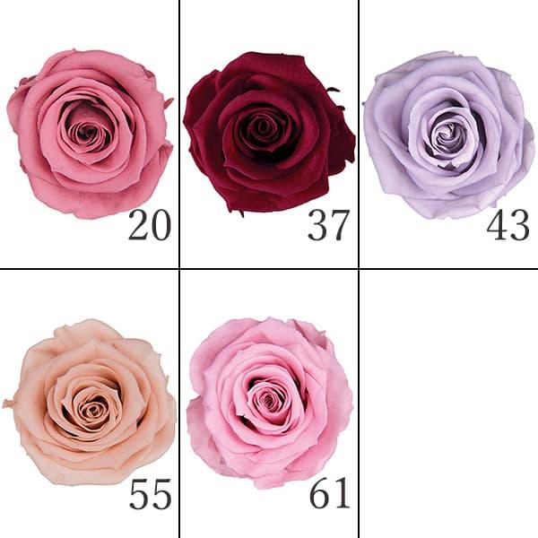 プリザーブドフラワー 薔薇 花材 まとめ売り プリザーブドフラワー 花材 とりよせ品 スタンダードローズ(1箱6輪入り