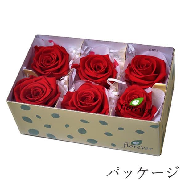 プリザーブドフラワー 花材 とりよせ品 スタンダードローズ(1箱6 プリザーブドフラワー 花材 とりよせ品 スタンダードローズ(1箱6