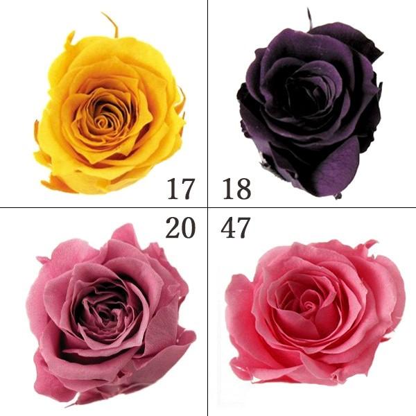 プリザーブドフラワー 花材 とりよせ品 ピッコラブロッサムローズ(1箱 