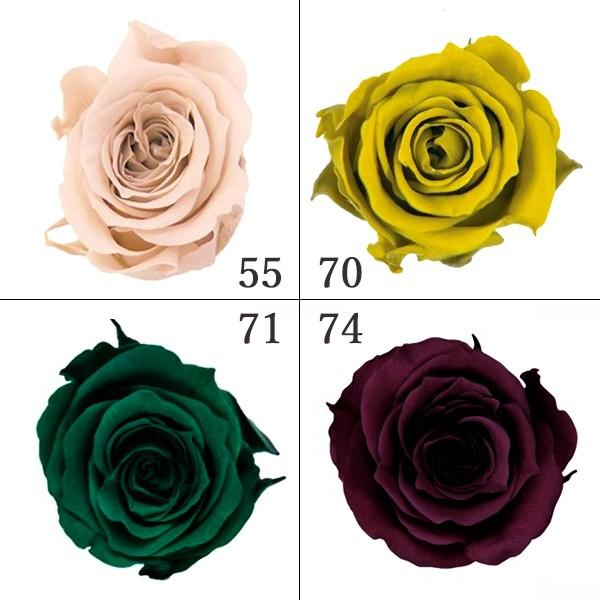 F04 プリザーブドフラワー　まとめ売り　ピッコラブロッサムローズ　キット　花材 プリザーブドフラワー 花材 とりよせ品 ピッコラブロッサムローズ(1箱