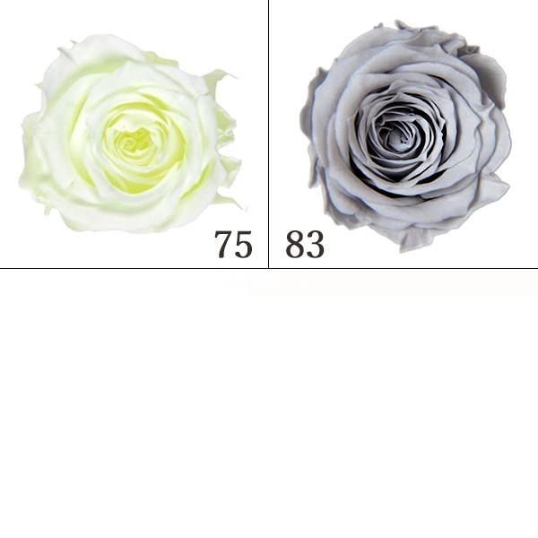 プリザーブドフラワー 花材 とりよせ品 ピッコラブロッサムローズ(1箱