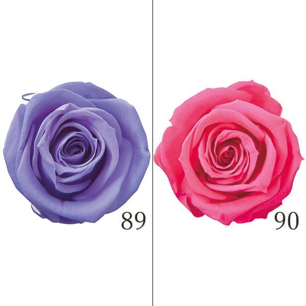 プリザーブドフラワー 花材》◇とりよせ品◇Florever スプレーローズ(1箱8輪入り) ローズ ハーバリウム プリザーブドローズ プリ バラ :flr-fl070:造花ドライフラワー専門問屋花びし - 通販 - Yahoo!ショッピング プリザーブドフラワー 花材》◇とりよせ品◇Florever スプレーローズ(1箱8輪入り) ローズ ハーバリウム プリザーブドローズ プリ バラ :flr-fl070:造花ドライフラワー専門問屋花びし - 通販 - Yahoo!ショッピング