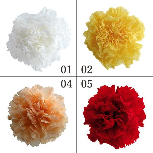 プリザーブドフラワー とりよせ品 Florever スタンダードカーネーション カーネーション ハーバリウム プリザーブドローズ プリ