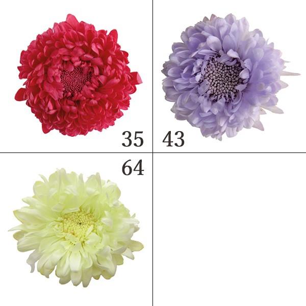 プリザーブドフラワー 花材 とりよせ品 アスター(1箱6輪入り) ドライ