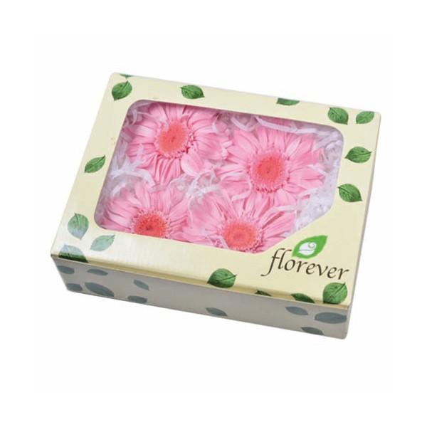 プリザーブドフラワー とりよせ品 Florever プレミアムガーベラ 1箱4輪入り Flr Fl480 造花ドライフラワー専門問屋花びし 通販 Yahoo ショッピング