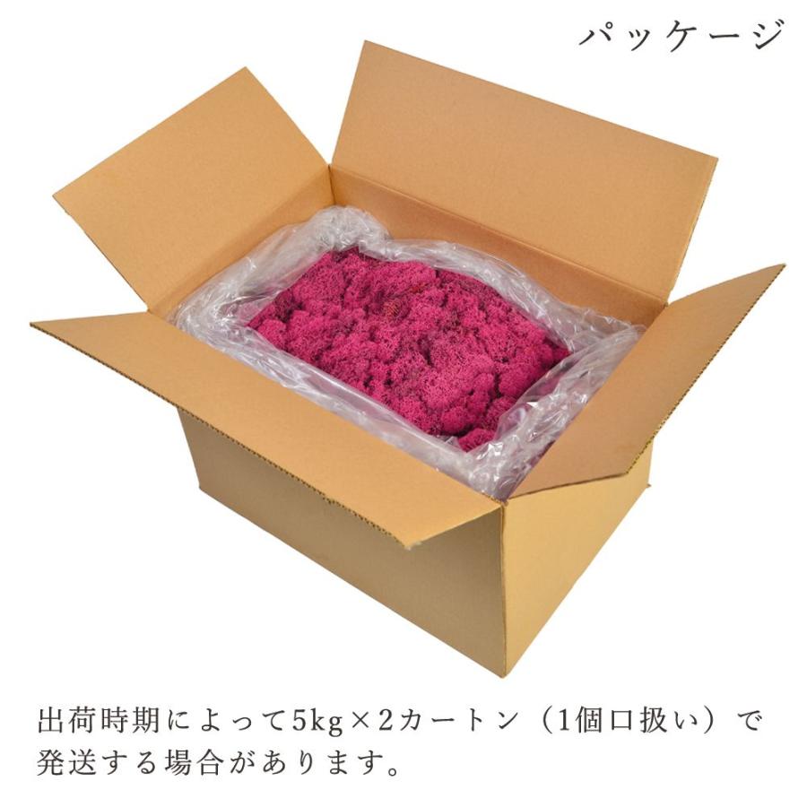 プリザーブドフラワー 花材 とりよせ品 ノルディックモス 10kg プリザーブドフラワー 花材 とりよせ品 ノルディックモス 10kg