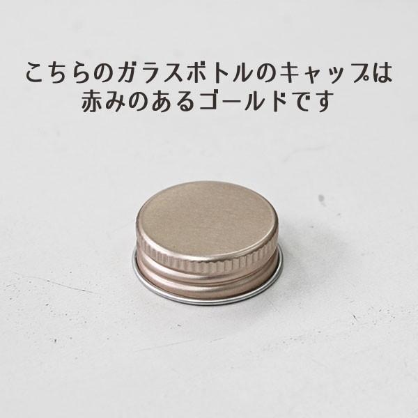 ☆即日出荷☆ハーバリウム 150ml角柱ガラスボトル5本セット ハー