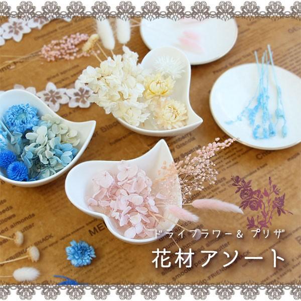 驚きの価格 ドライフラワープリザーブドフラワー 花材アソート ボタニカルキャンドル レジン Diy ハンドメイド 専門店 ワークショップ Aynaelda Com