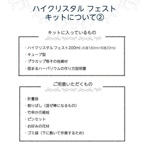 固まる ハーバリウム オイル ハイクリスタル フェスト キット2 4 5cm角 シリコン シリコーン 高品質 植物標本 キット ワークショップ 夏休み 自由研究 ドライ Hc Fst Kit 2 造花ドライフラワー専門問屋花びし 通販 Yahoo ショッピング