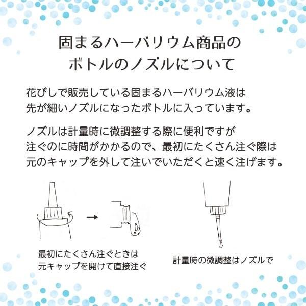 即日出荷 ハーバリウム レジン クリスタルリウム 1500ml エポキシ 樹脂 2液性 高品質 固まるハーバリウム 1 5l 液体 材料 専門店 ハンドメイド 大容量 Hc Rium1500 造花ドライフラワー専門問屋花びし 通販 Yahoo ショッピング