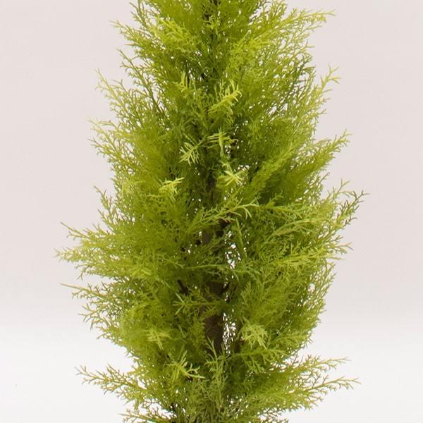 フェイクグリーン 観葉植物 とりよせ品 花びし メーカー直送品 ゴールドクレストポット S 90cm 代引決済 他商品との同梱不可 グリーン Hnb Fd3167 造花ドライフラワー専門問屋花びし 通販 Yahoo ショッピング