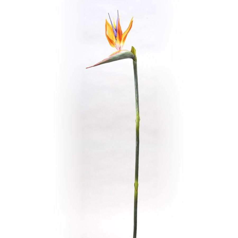 観葉植物　ストレチア・極楽鳥花「バードパラダイス」 造花 とりよせ品 ストレチア バードオブパラダイス 極楽鳥 トロピカル