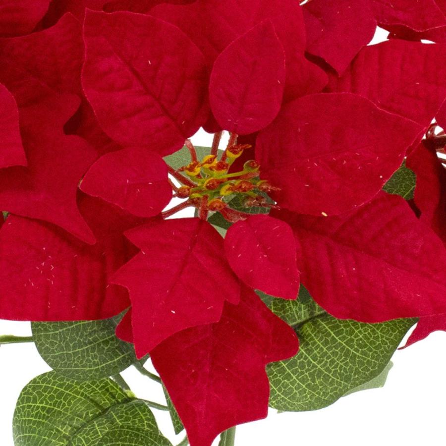 クリスマス 造花 とりよせ品 ポインセチアブッシュ 5 ショウジョウボク 猩 木 クリスマスフラワー ノーチェ・ブエナ クリスマスアレンジ レッド 赤 雪 造花ドライフラワー専門問屋花びし - 通販 - Yahoo ショッピング