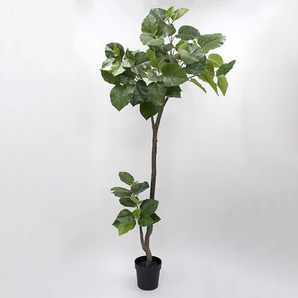 フェイクグリーン 観葉植物 【メーカー直送品】 ウンベラータポット(組立式) 200cm《代引不可・他商品との同梱不可》 観葉植物 観葉樹 フェイクグリーン