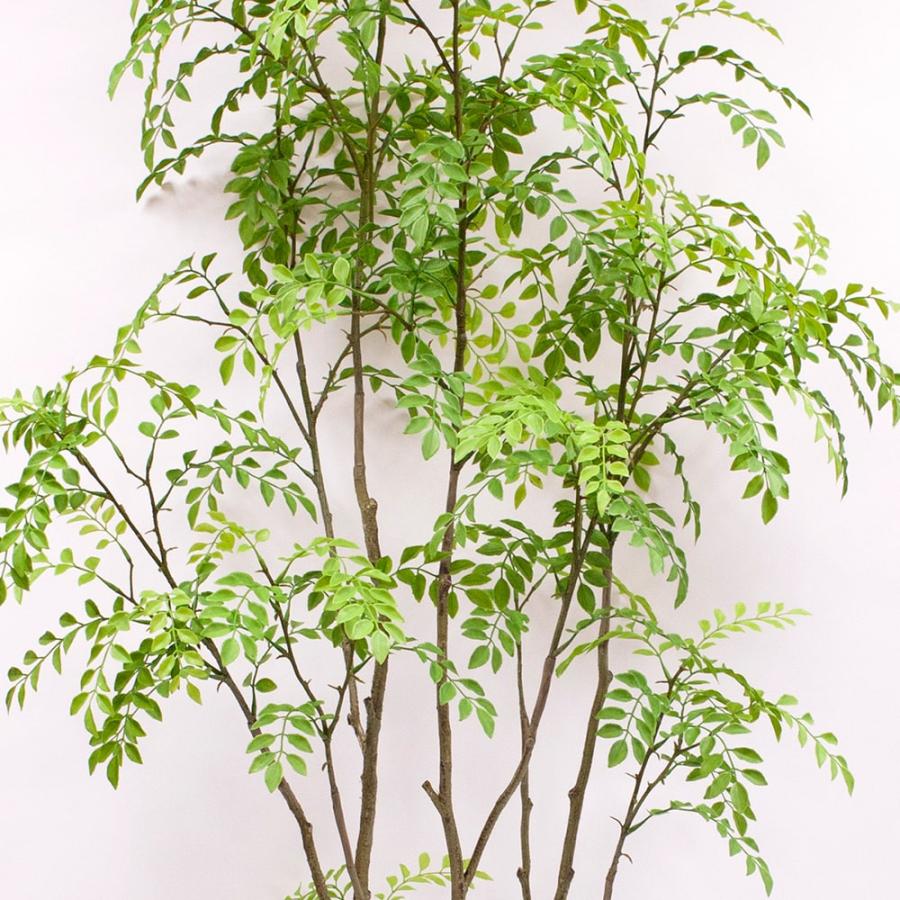 フェイクグリーン 観葉植物 【メーカー直送品】 シマトネリコポット
