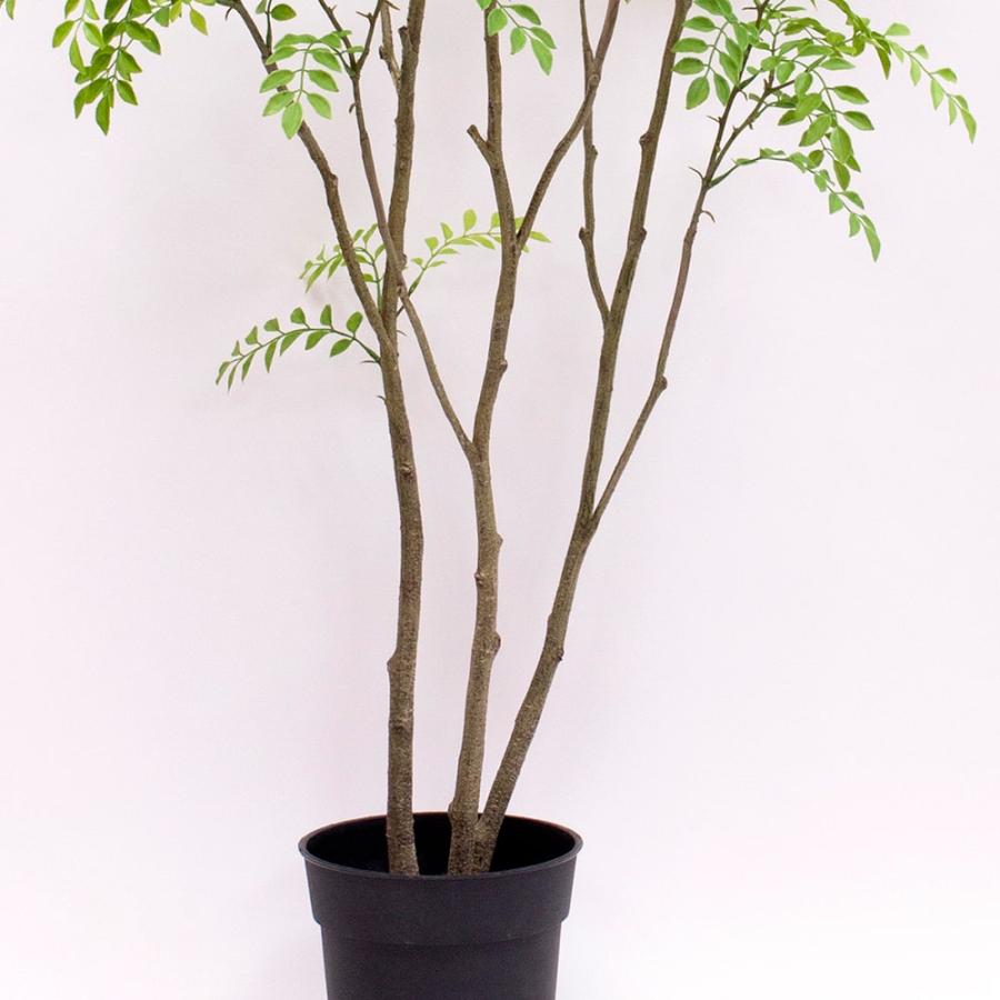 フェイクグリーン 観葉植物 【メーカー直送品】 シマトネリコポット