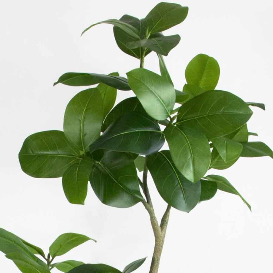 フェイクグリーン 観葉植物 【メーカー直送品】 ツイストアルテシマ