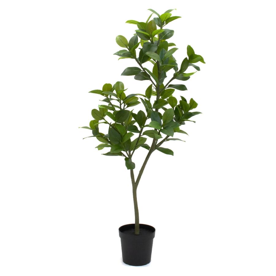 フェイクグリーン 観葉植物 【メーカー直送品】 フィカスソフィア 
