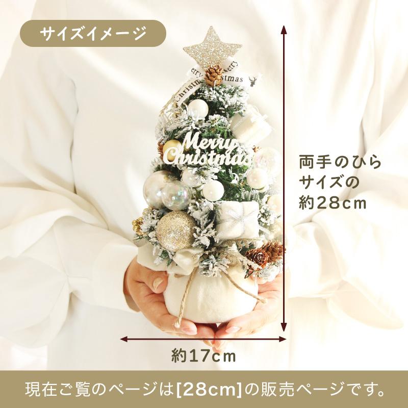 クリスマス ツリー 小さい ドライフラワー アレンジ 即日出荷 木の実と