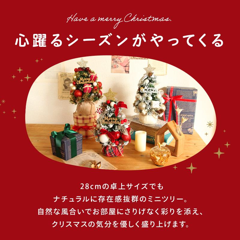 クリスマス ツリー 小さい ドライフラワー アレンジ 即日出荷 木の実と