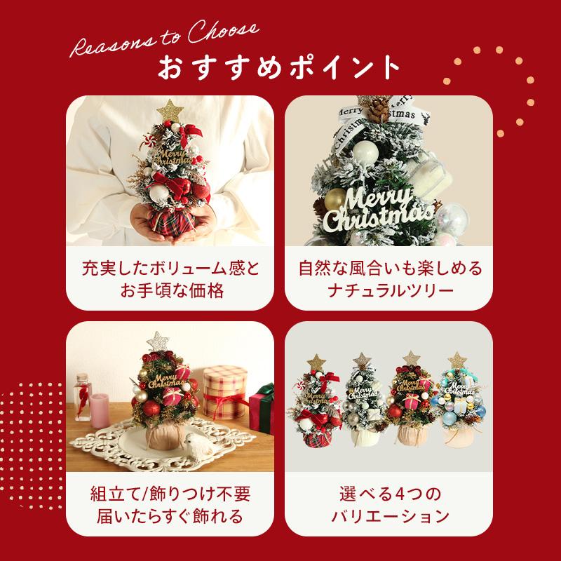 クリスマス ツリー 小さい ドライフラワー アレンジ 即日出荷 木の実と