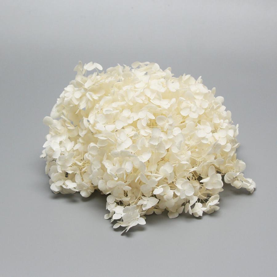 アナベル アジサイ 確認用 ③ プリザーブドフラワー プリザーブドフラワー 花材 即日出荷 アナベルアジサイ ピュアホワイト