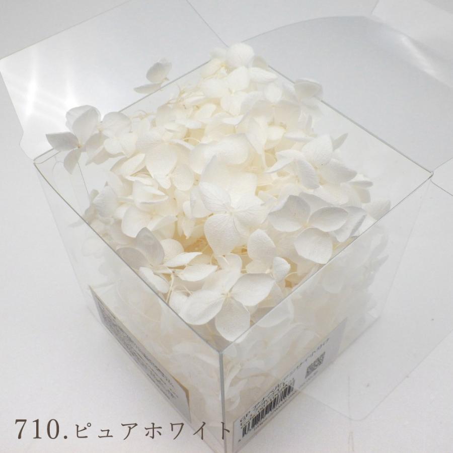プリザーブドフラワー 花材 即日出荷 アナベルアジサイ 小分け ※色の