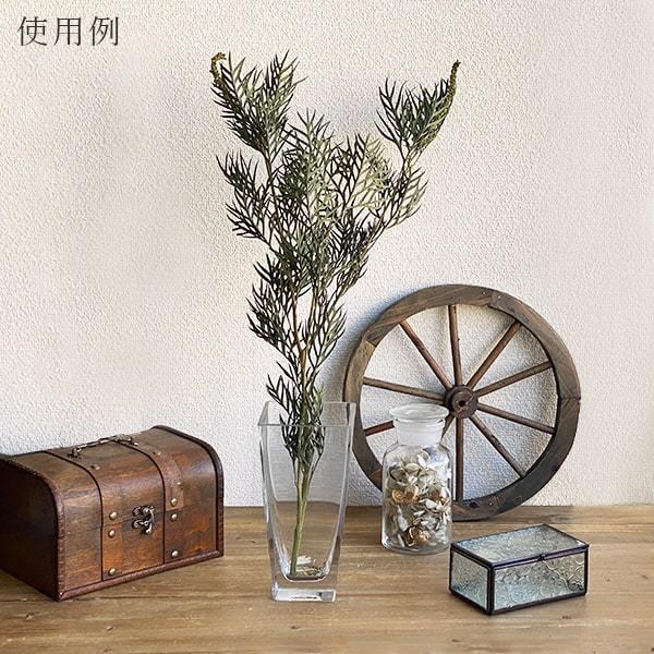 ドライフラワー 花材 即日出荷 GPグレビレアロブスター グリーン