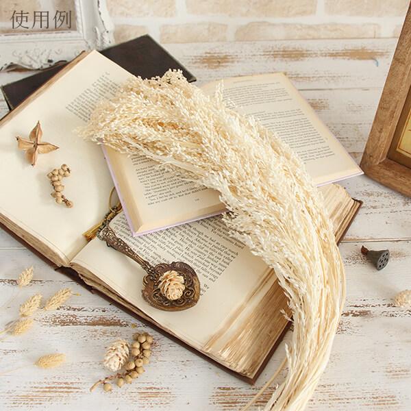 ドライフラワー 花材 即日出荷 GPキビ ホワイト 穂 スワッグ ブーケ