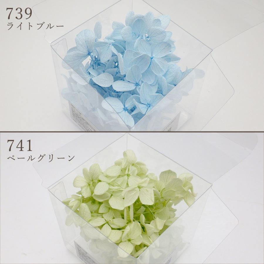 プリザーブドフラワー 花材 即日出荷 ピラミッドアジサイ 小分け ※色の濃淡があります 花材 素材 材料 パーツ 訳あり ワケあり | ブランド登録なし | 10