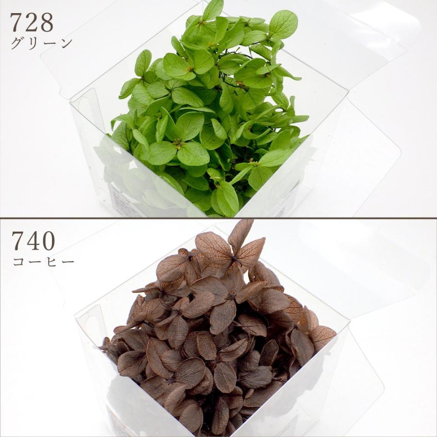 プリザーブドフラワー 花材 即日出荷 ピラミッドアジサイ 小分け ※色の濃淡があります 花材 素材 材料 パーツ 訳あり ワケあり | ブランド登録なし | 12