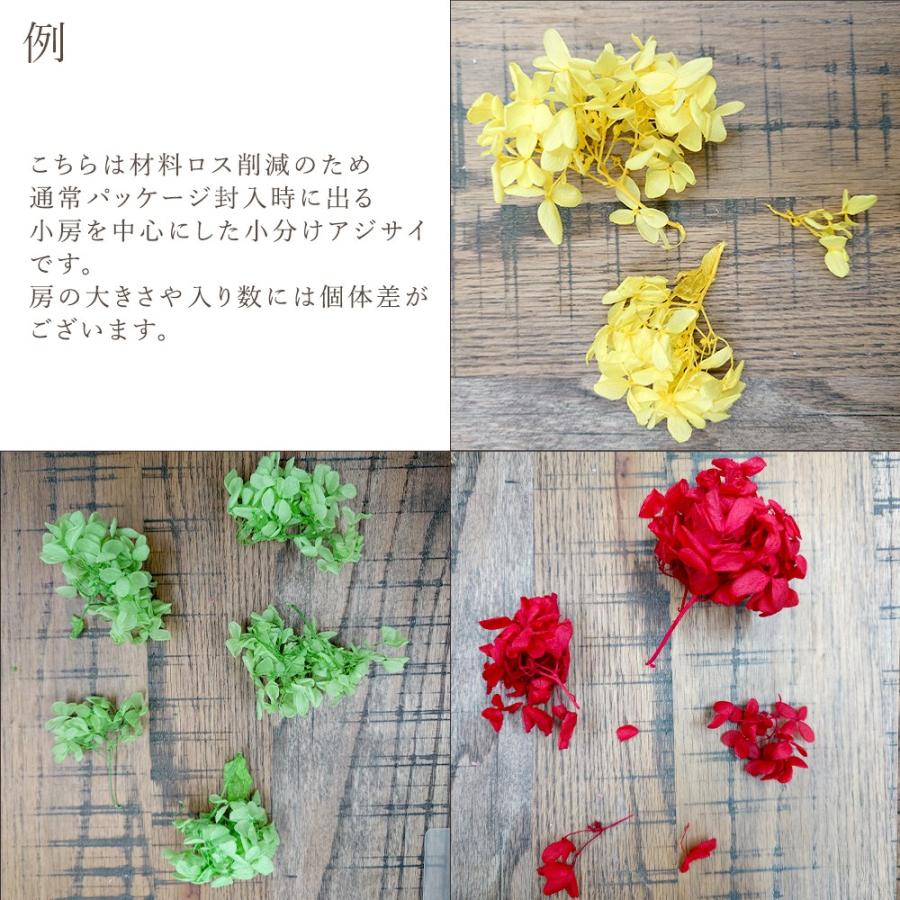 プリザーブドフラワー 花材 即日出荷 ピラミッドアジサイ 小分け ※色の濃淡があります 花材 素材 材料 パーツ 訳あり ワケあり | ブランド登録なし | 15