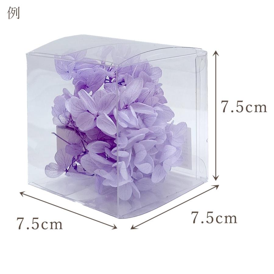 プリザーブドフラワー 花材 即日出荷 ピラミッドアジサイ 小分け ※色の濃淡があります 花材 素材 材料 パーツ 訳あり ワケあり | ブランド登録なし | 02