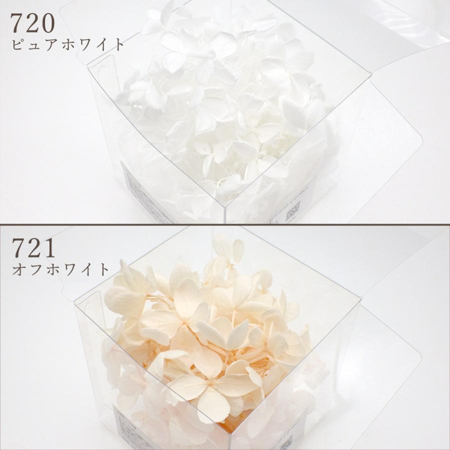 プリザーブドフラワー 花材 即日出荷 ピラミッドアジサイ 小分け ※色の濃淡があります 花材 素材 材料 パーツ 訳あり ワケあり | ブランド登録なし | 03