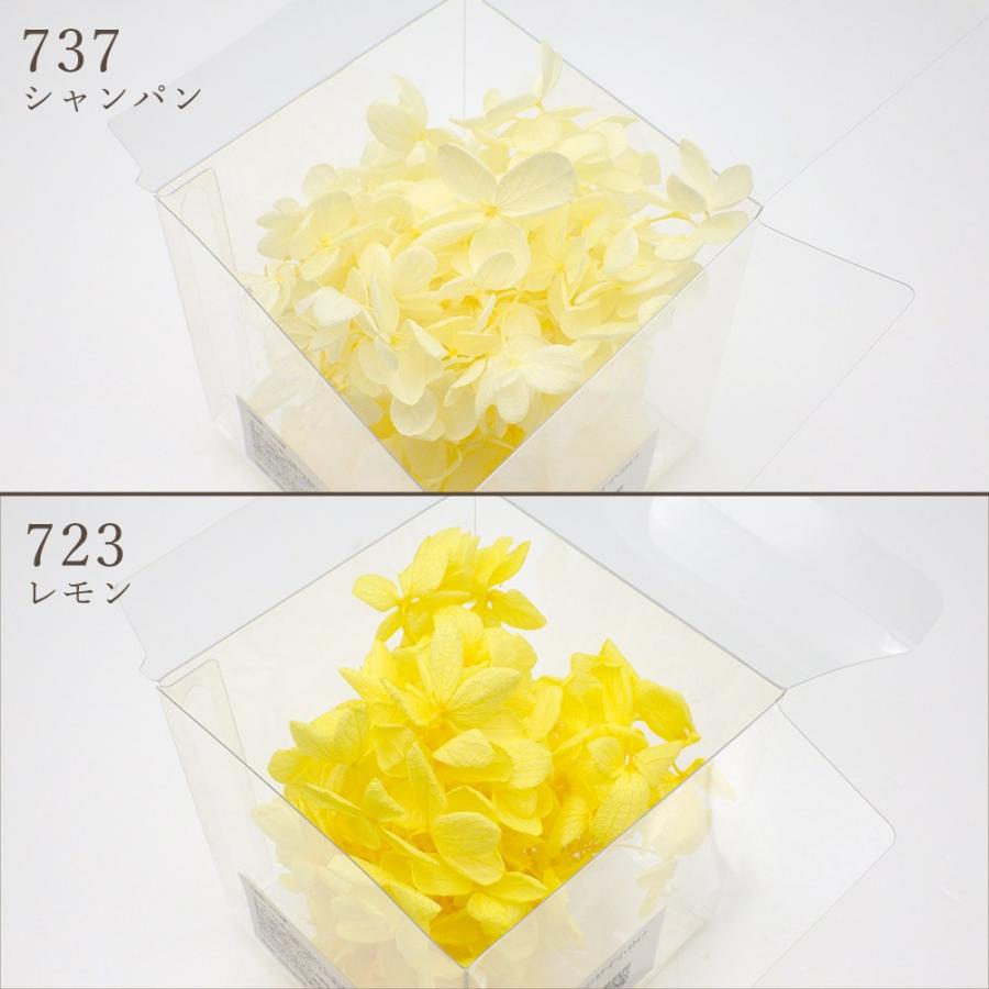 プリザーブドフラワー 花材 即日出荷 ピラミッドアジサイ 小分け ※色の濃淡があります 花材 素材 材料 パーツ 訳あり ワケあり | ブランド登録なし | 04