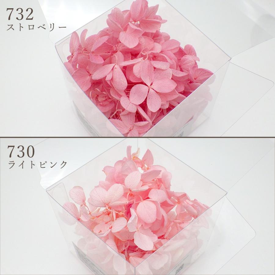 プリザーブドフラワー 花材 即日出荷 ピラミッドアジサイ 小分け ※色の濃淡があります 花材 素材 材料 パーツ 訳あり ワケあり | ブランド登録なし | 06
