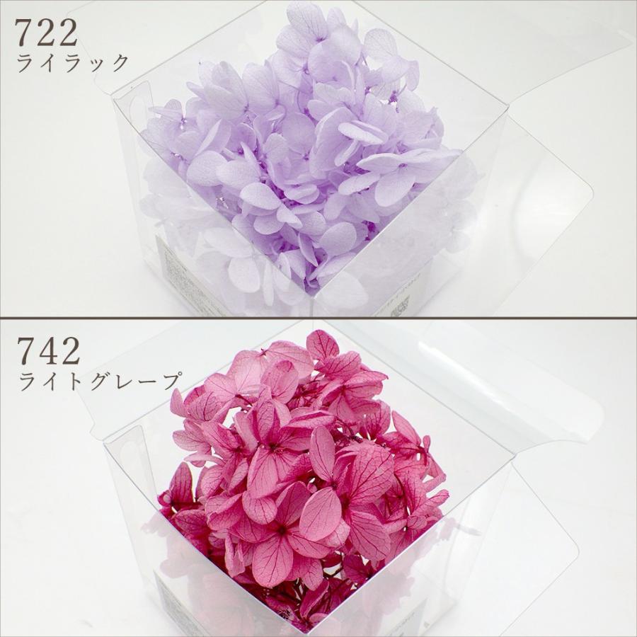 ポイント5倍中 7/28 09:59迄】 プリザーブドフラワー 花材 即日