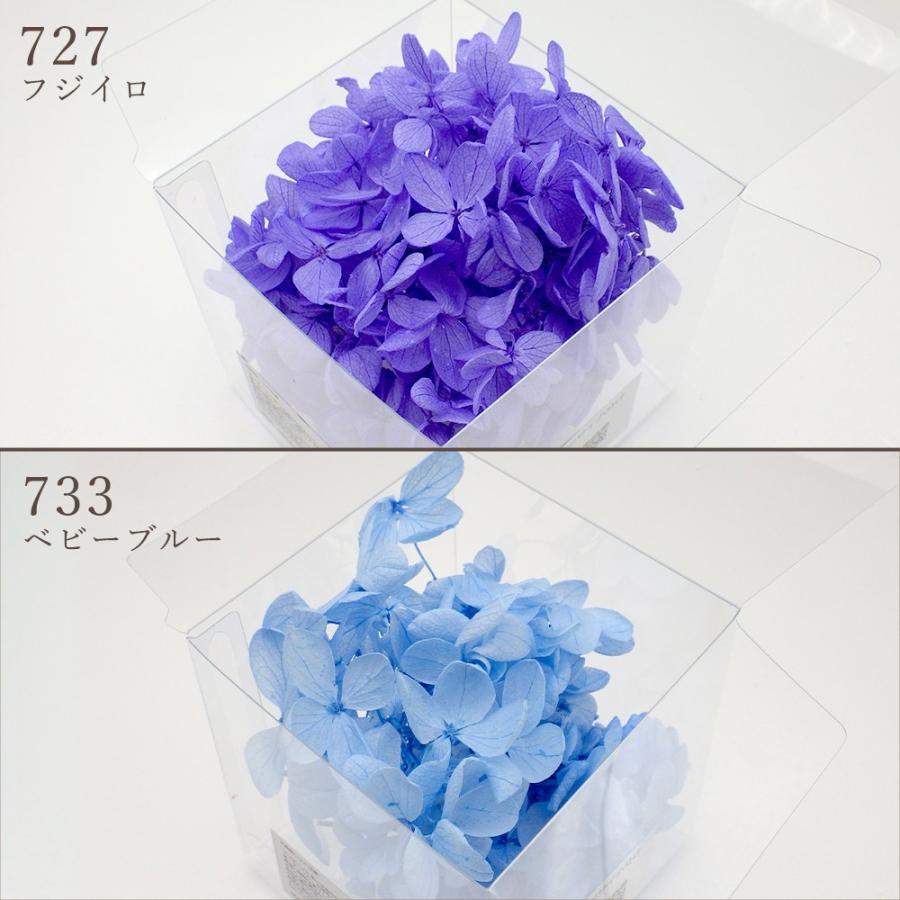 プリザーブドフラワー 花材 即日出荷 ピラミッドアジサイ 小分け ※色の濃淡があります 花材 素材 材料 パーツ 訳あり ワケあり | ブランド登録なし | 09