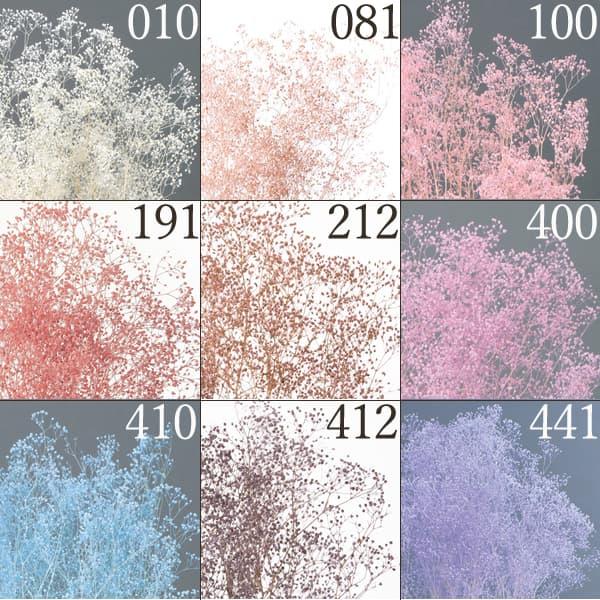 魅力的な プリザーブドフラワー 花材 とりよせ品 大地農園 ソフトミニカスミ草 ハーバリウム プリザーブドローズ プリ プリザーブド ブリザーブド パーツ Whitesforracialequity Org