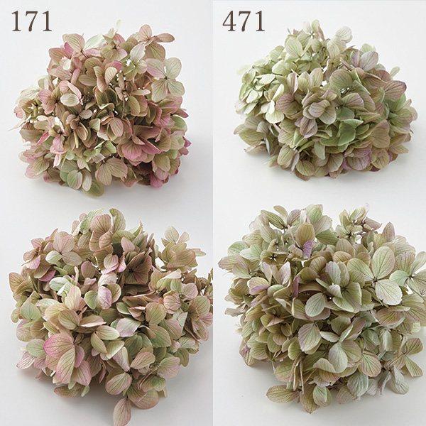 プリザーブドフラワー 花材 とりよせ品 アジサイ・グランディフローラ・ヘッド ドライフラワー ピンク グリーン 緑 パープル 紫 あじさい 紫陽花 大地農園（Yahoo!・造花ドライフラワー専門問屋花びし）