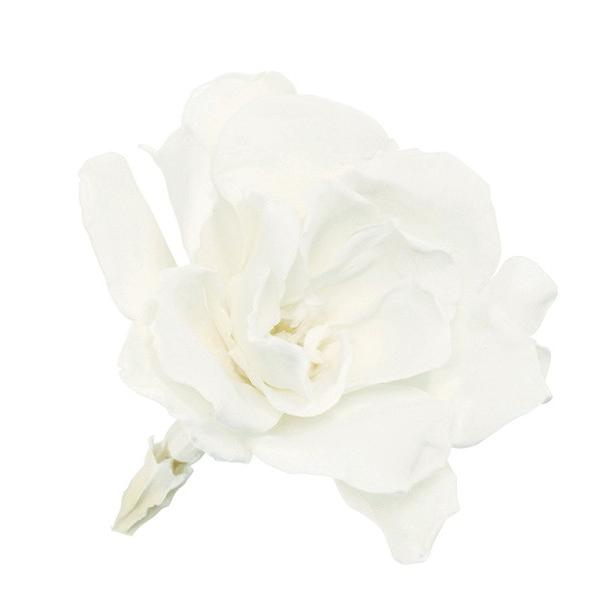 プリザーブドフラワー 花材 とりよせ品 クチナシ(1箱6輪入り) ドライ