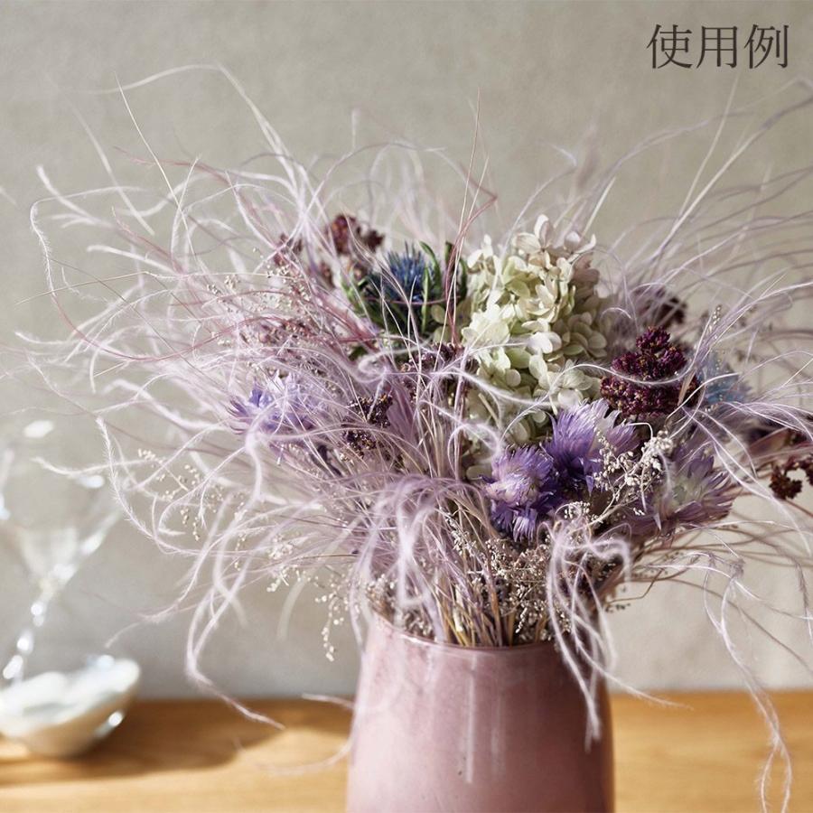 ドライフラワー 花材 とりよせ品 フェザーグラス 素材 材料 パーツ