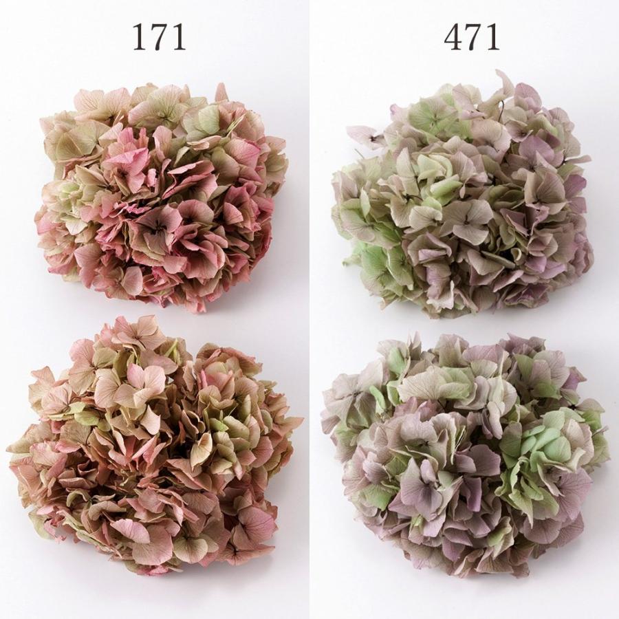 P5倍中 7/14 9:59まで】 プリザーブドフラワー 花材 とりよせ品