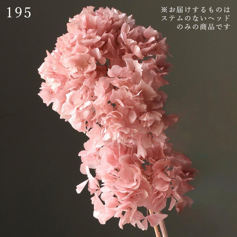 プリザーブドフラワー 花材 とりよせ品 ロイヤルアジサイ・フレア